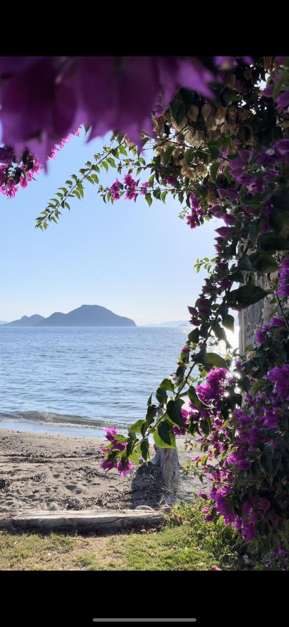 Villa Di Mare Bodrum Eksteriør bilde