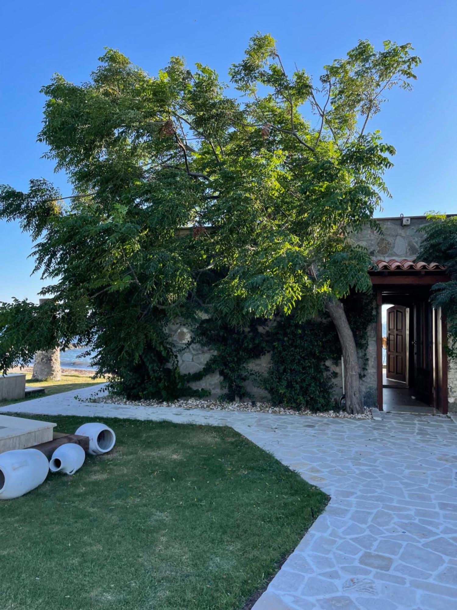 Villa Di Mare Bodrum Eksteriør bilde